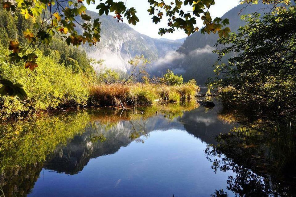 Greenheart Aussee Obersdorf Bagian luar foto