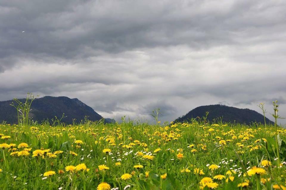 Greenheart Aussee Obersdorf Bagian luar foto